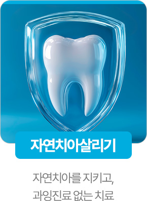 자연치아살리기